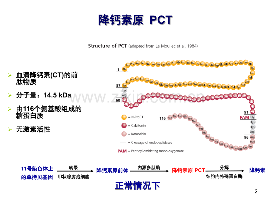 炎性指标和临床意义(课堂PPT).ppt_第2页