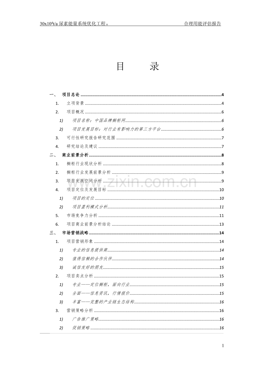 中农润田化工有限公司30万t尿素工程节能评估报告书.doc_第1页