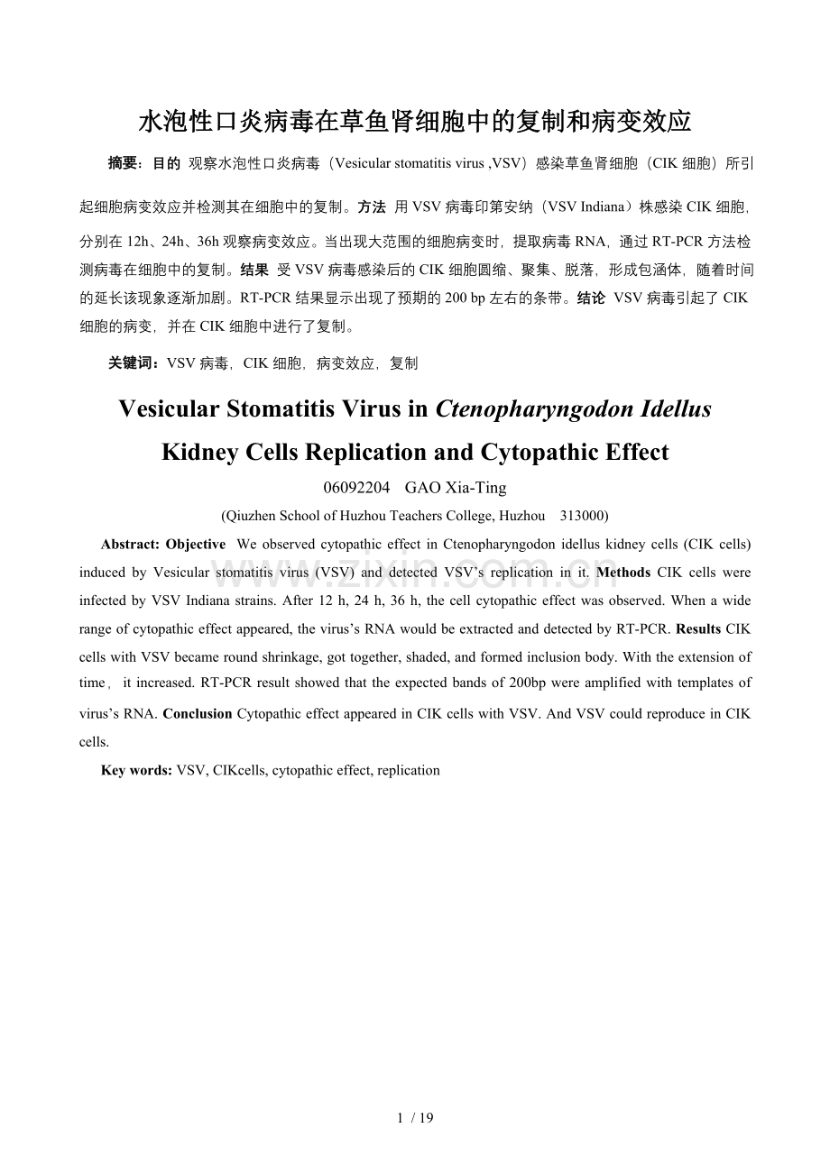 水泡性口炎病毒在草鱼肾细胞中的复制和病变效应.doc_第2页