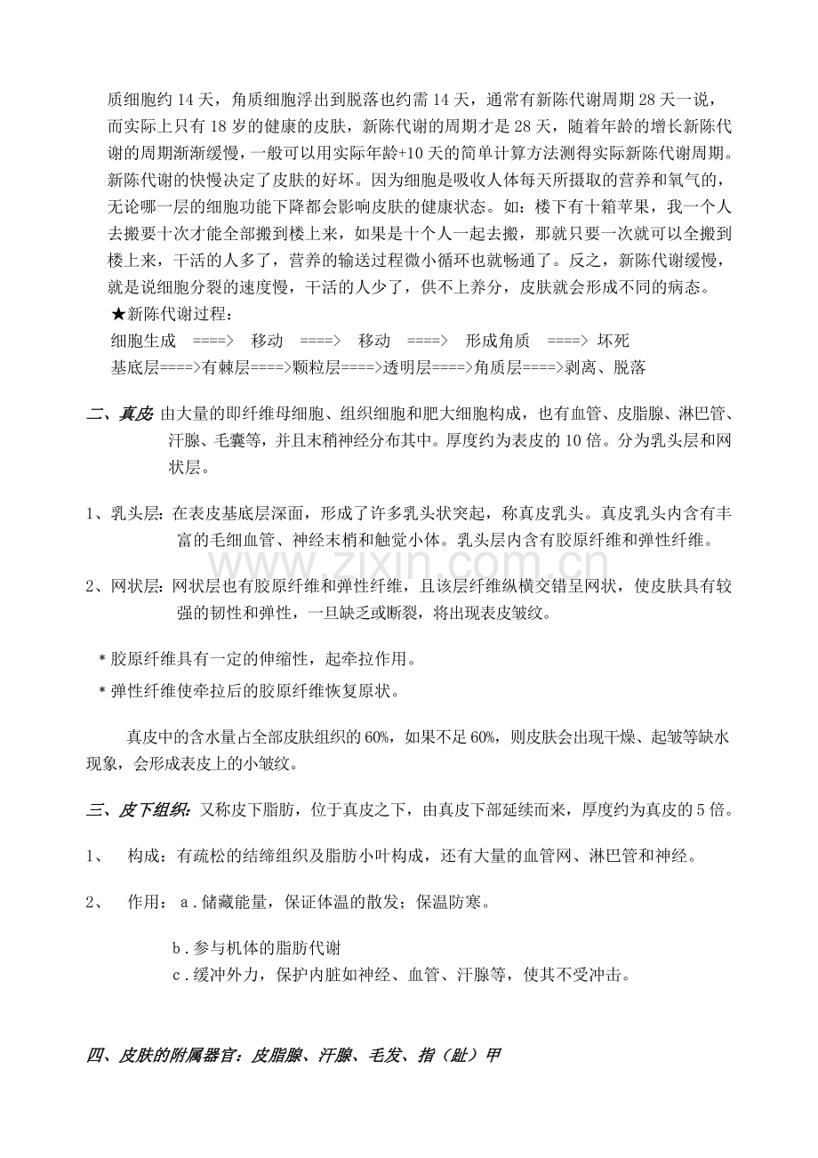 皮肤生理学(全面美容院).doc_第2页