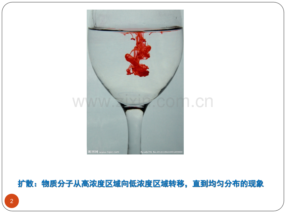 物质跨膜运输的实例-(课堂PPT).ppt_第2页