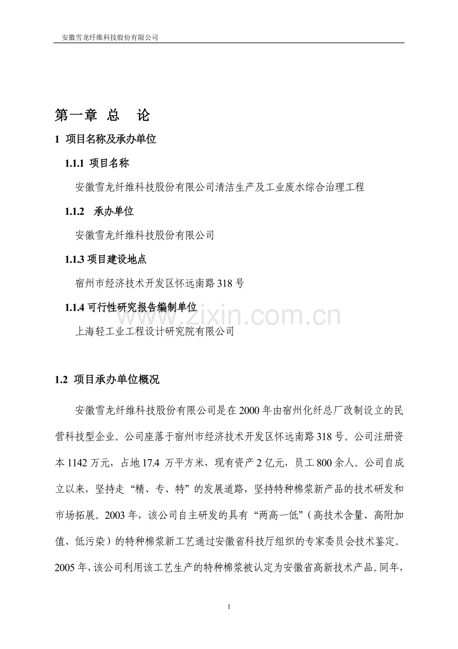 雪龙纤维科技股份有限公司清洁生产及工业废水综合治理工程可行性研究报告.doc_第1页