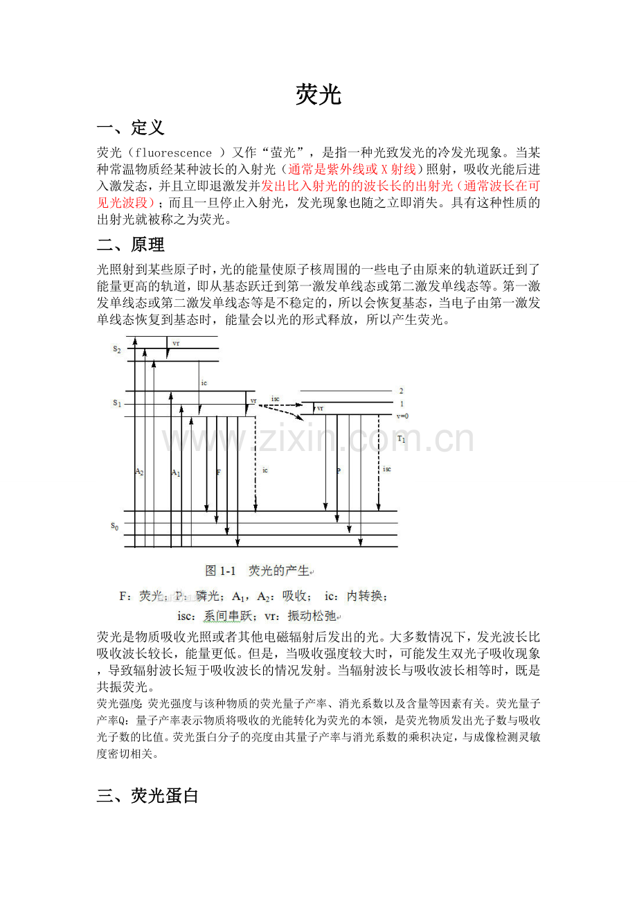 荧光蛋白(整理).doc_第1页