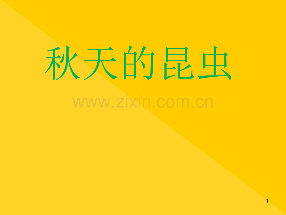 秋天的昆虫.ppt_第1页