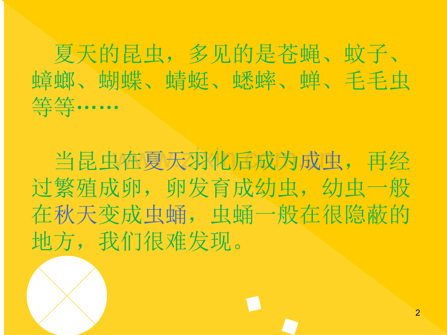 秋天的昆虫.ppt_第2页