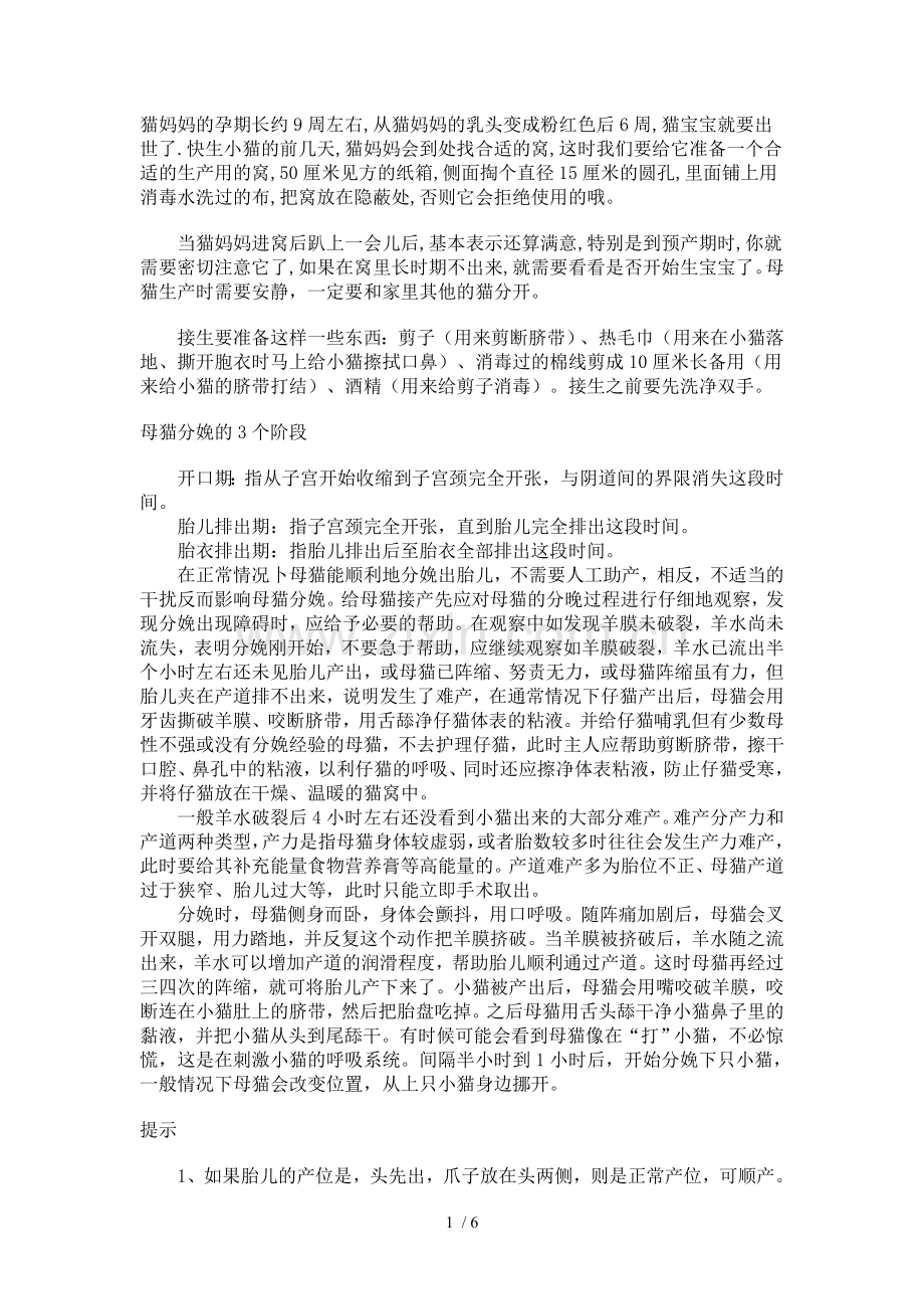 怎样给猫接生(全套攻略).doc_第1页
