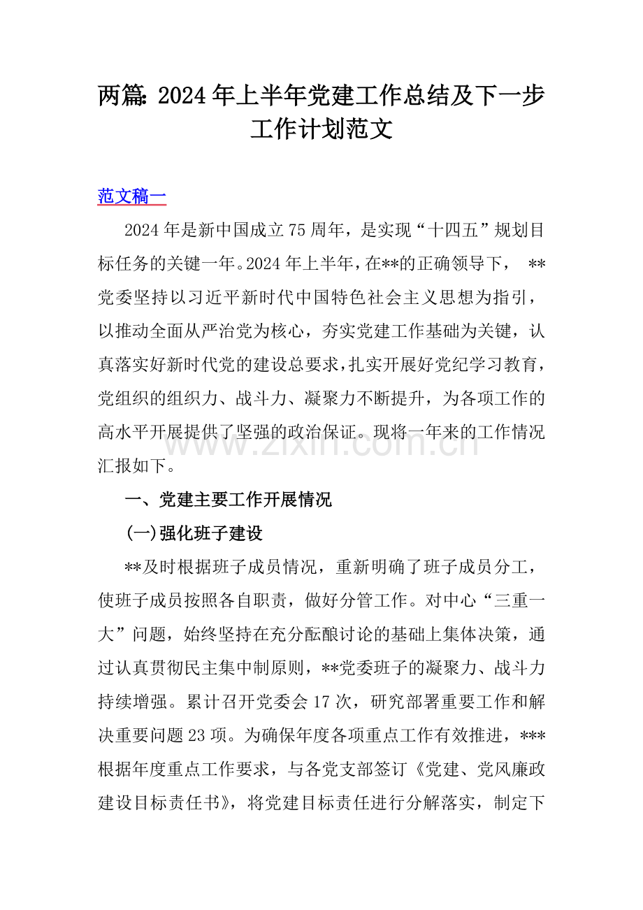 两篇：2024年上半年党建工作总结及下一步工作计划范文.docx_第1页