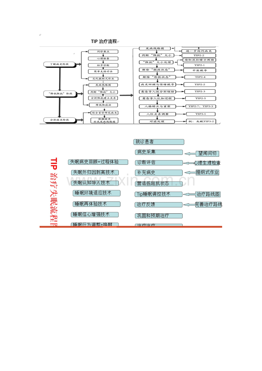 TIP睡眠调控技术操作流程.docx_第2页