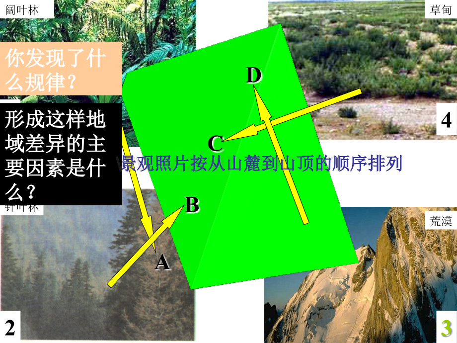山地的垂直地域分异规律.ppt_第2页