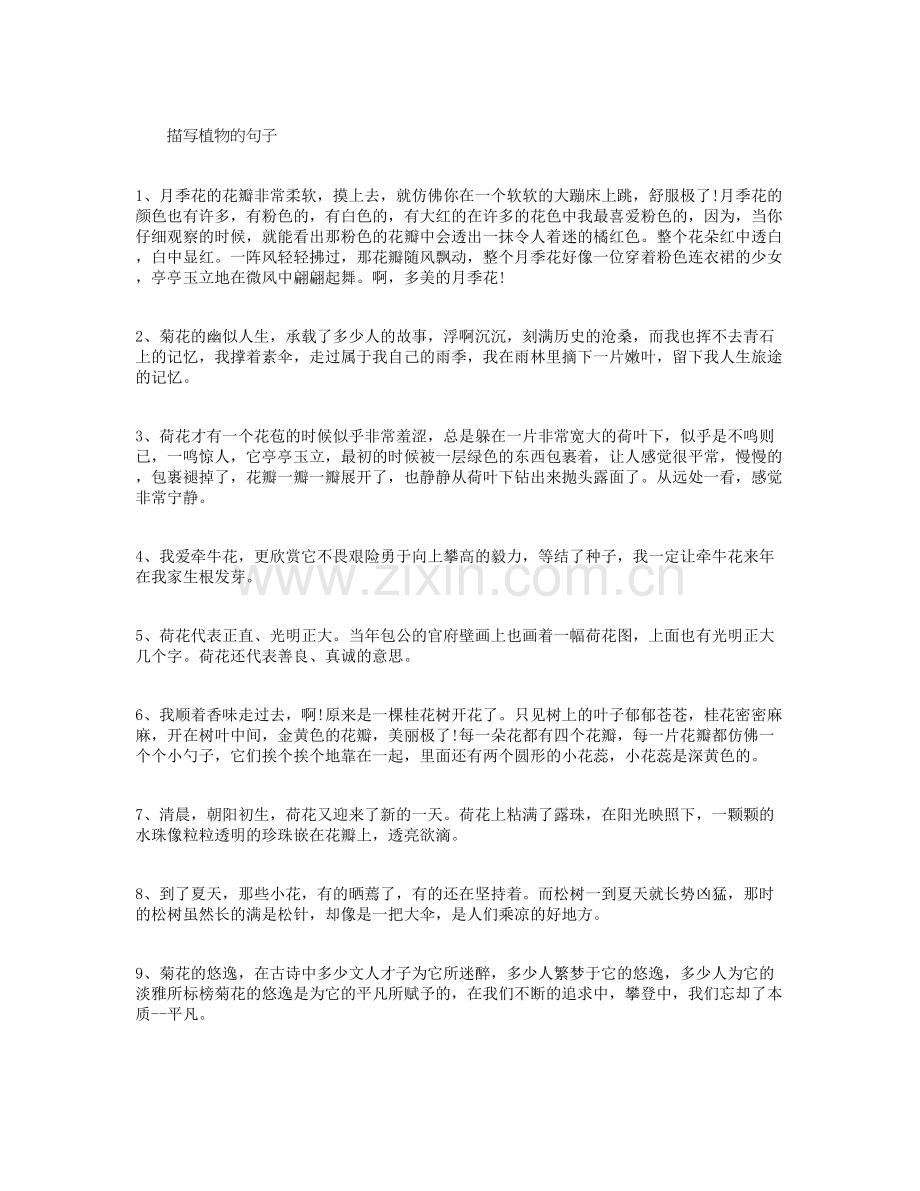描写植物的句子.doc_第1页