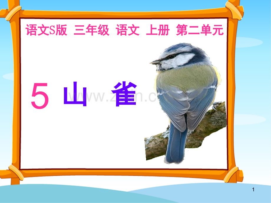 山雀语文S版三年级上册(课堂PPT).ppt_第1页