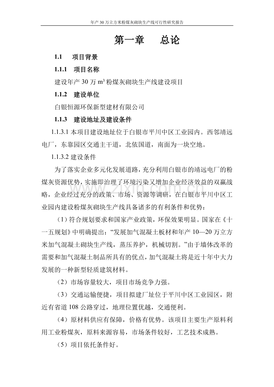 年产30万立方米粉煤灰砌块生产线可行性研究报告终稿.doc_第2页