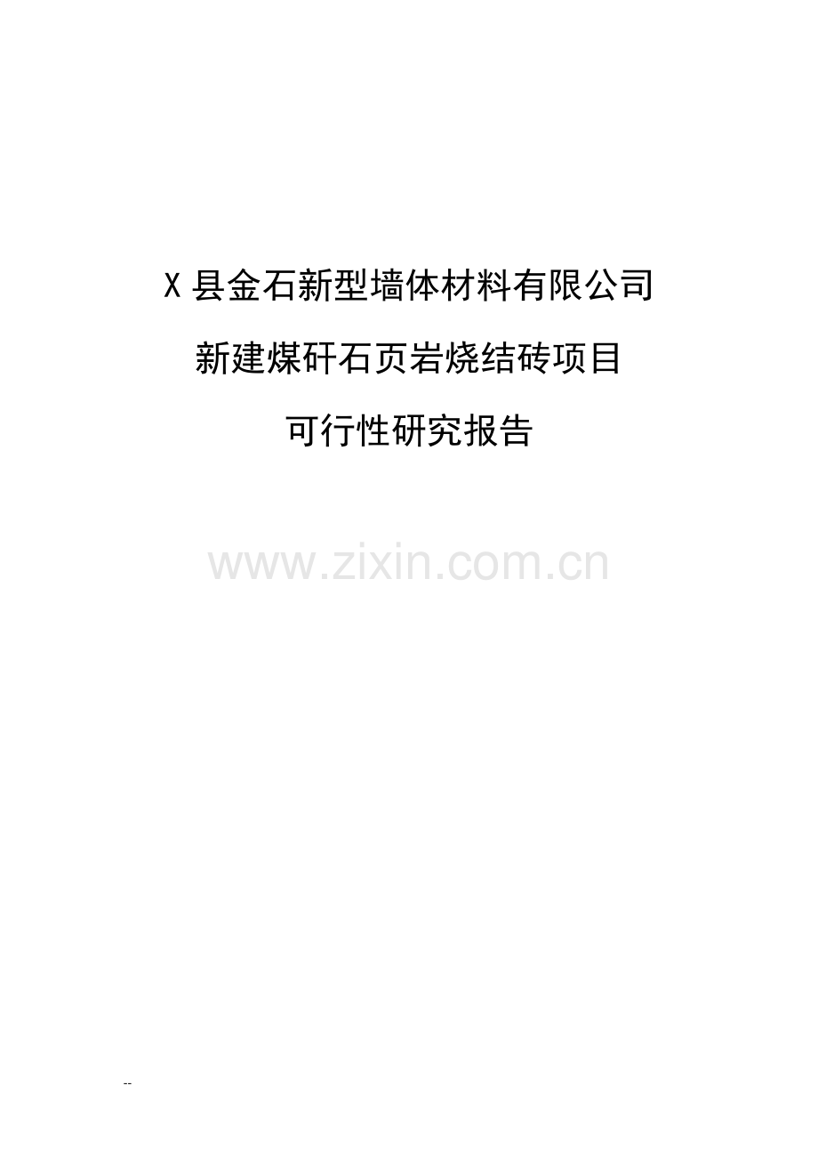 新建煤矸石页岩烧结砖(标砖)建设项目可行性研究报告书.doc_第1页