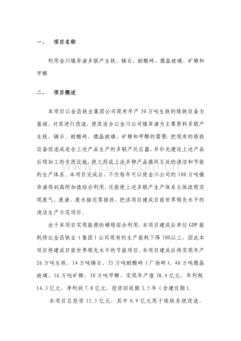 镍弃渣多联产项目可行性论证报告书.doc_第1页