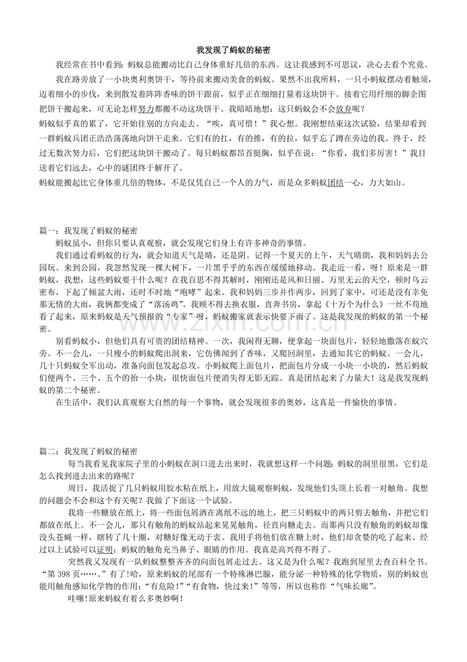 我发现了蚂蚁的秘密.doc_第1页