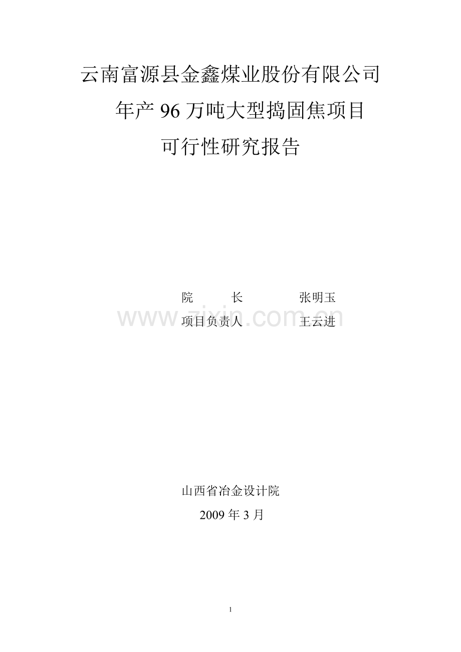 年产96万吨大型捣固焦项目建设可行性研究报告(优秀报告).doc_第1页