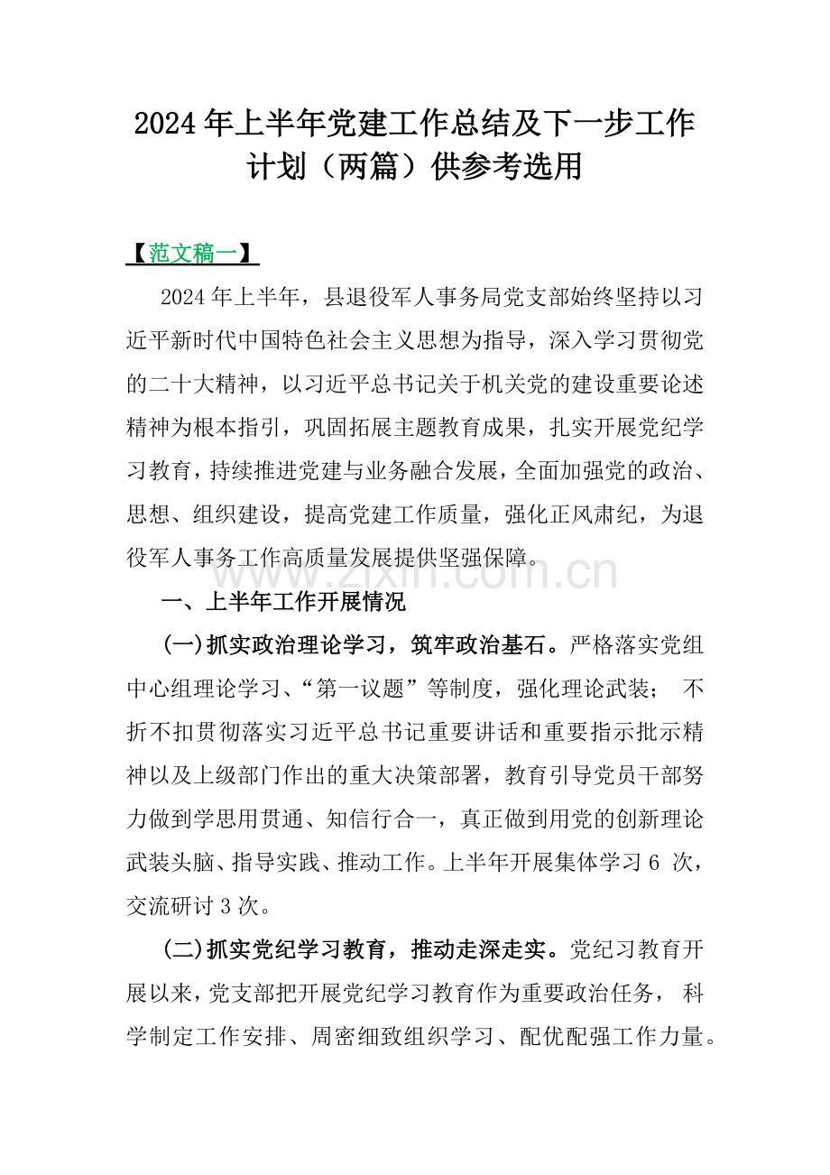 2024年上半年党建工作总结及下一步工作计划（两篇）供参考选用.docx_第1页