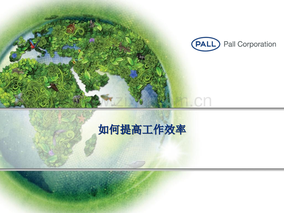 如何提高工作效率.ppt_第1页