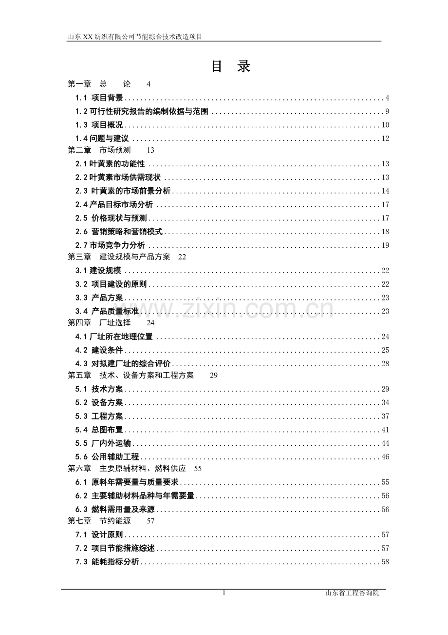 某纺织有限公司节能综合技术改造项目可行性研究报告.doc_第1页