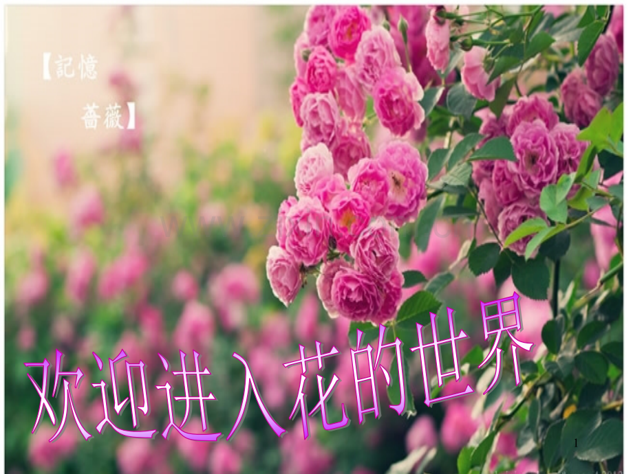 初中生物《植物的开花和结果》ppt课件.ppt_第1页