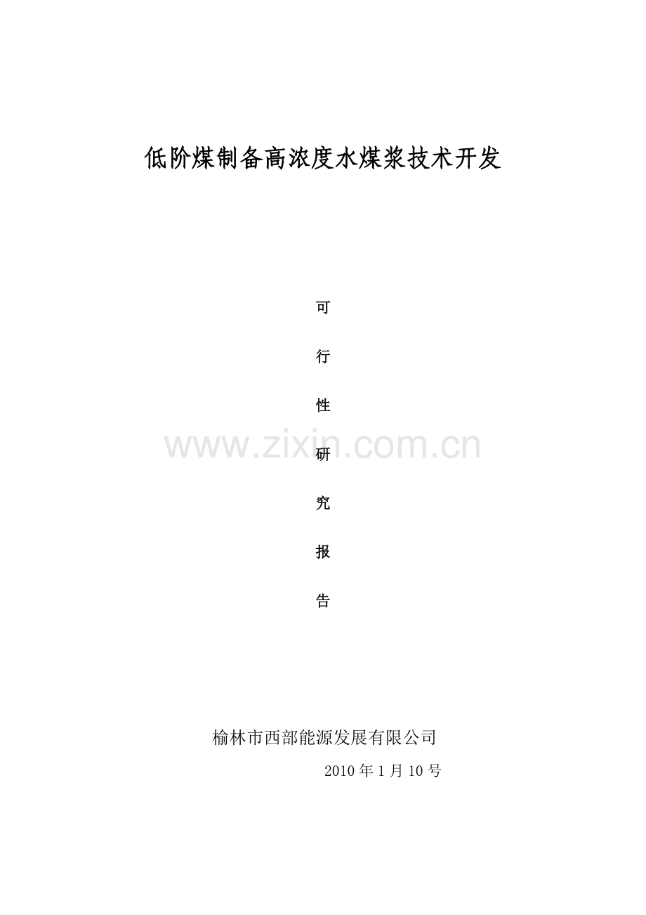 低阶煤制备高浓度水煤浆技术开发可行性报告.doc_第1页