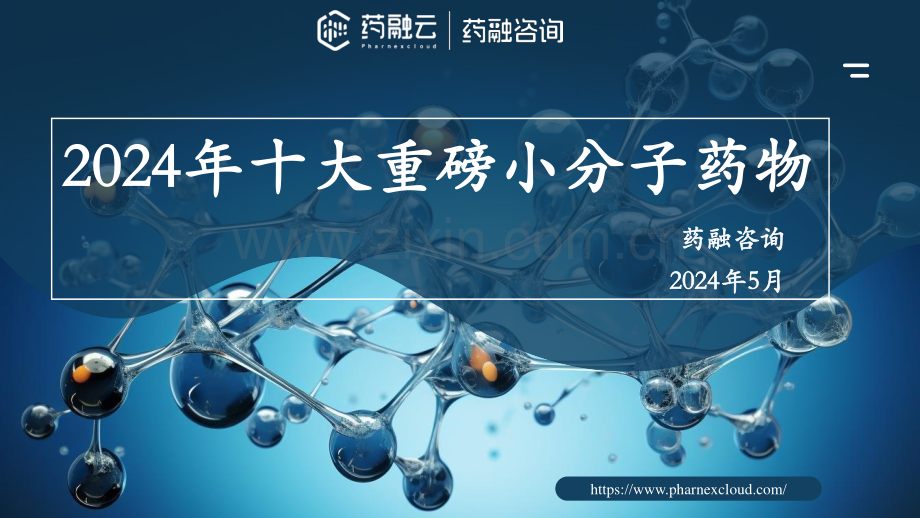 2024十大重磅小分子药物.pdf_第1页