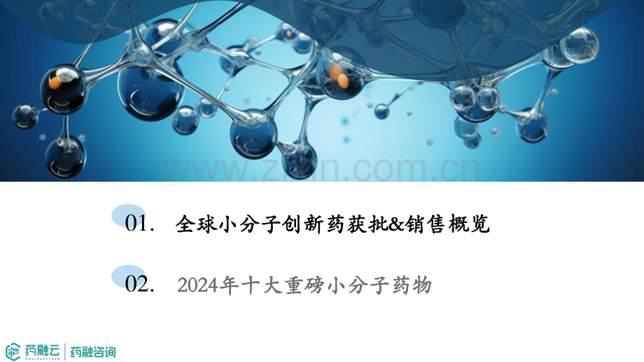 2024十大重磅小分子药物.pdf_第2页