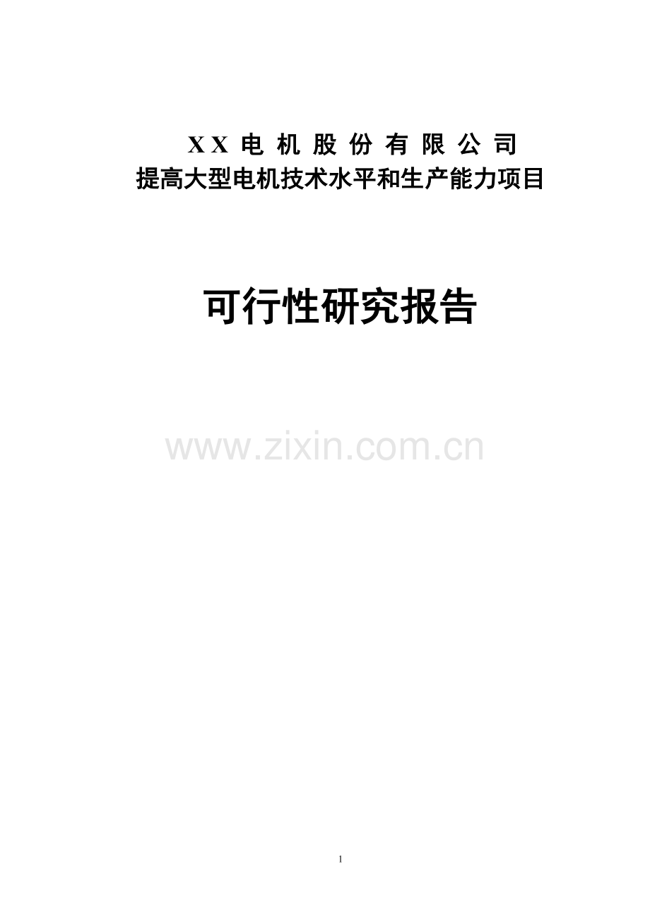 某公司提高大型电机技术水平和生产能力项目可行性研究报告书(word版本).doc_第1页