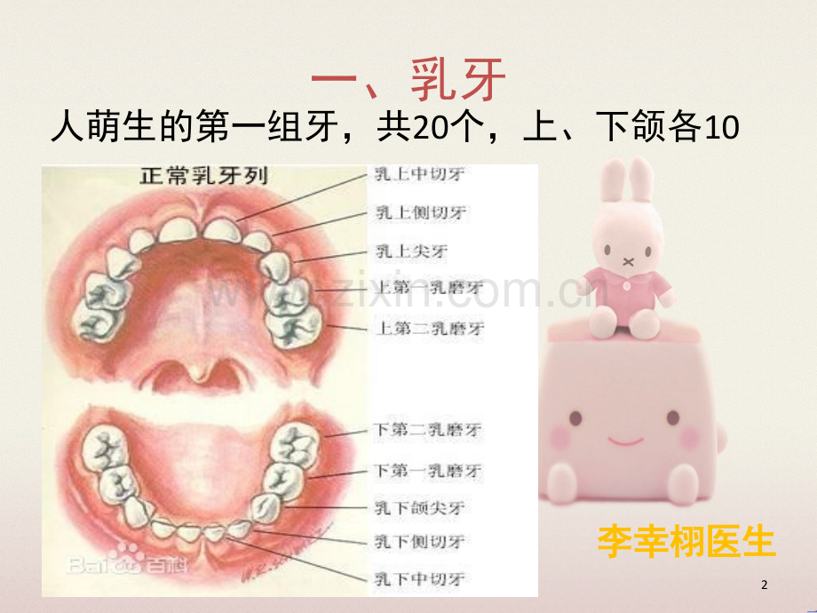 婴幼儿口腔保健知识PPT课件.ppt_第2页