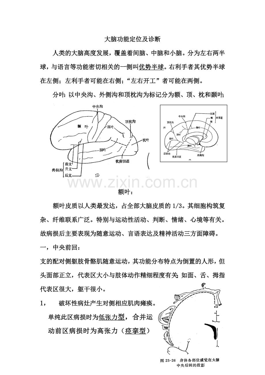 大脑功能定位诊断.doc_第1页