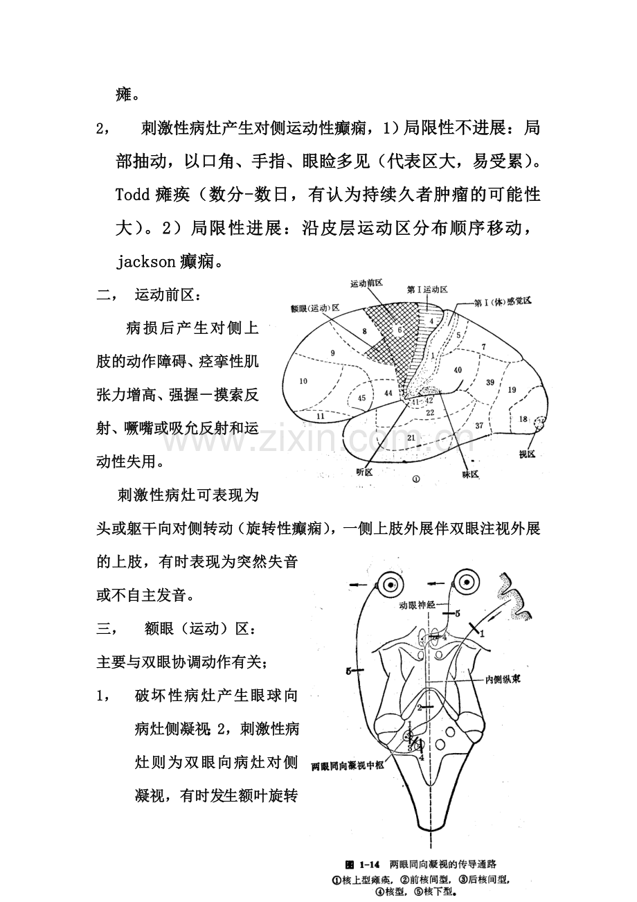 大脑功能定位诊断.doc_第2页