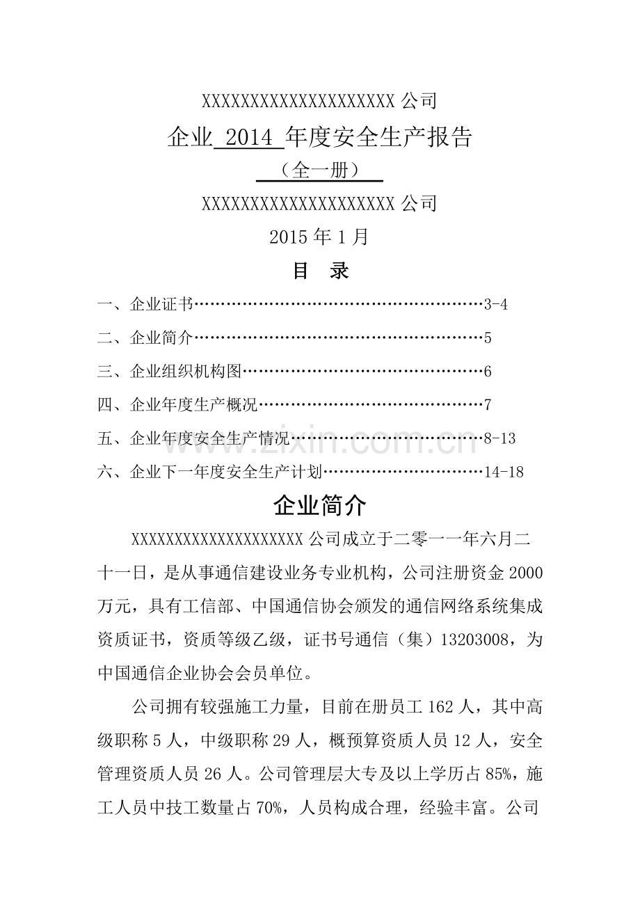 企业年度安全生产报告.doc_第1页