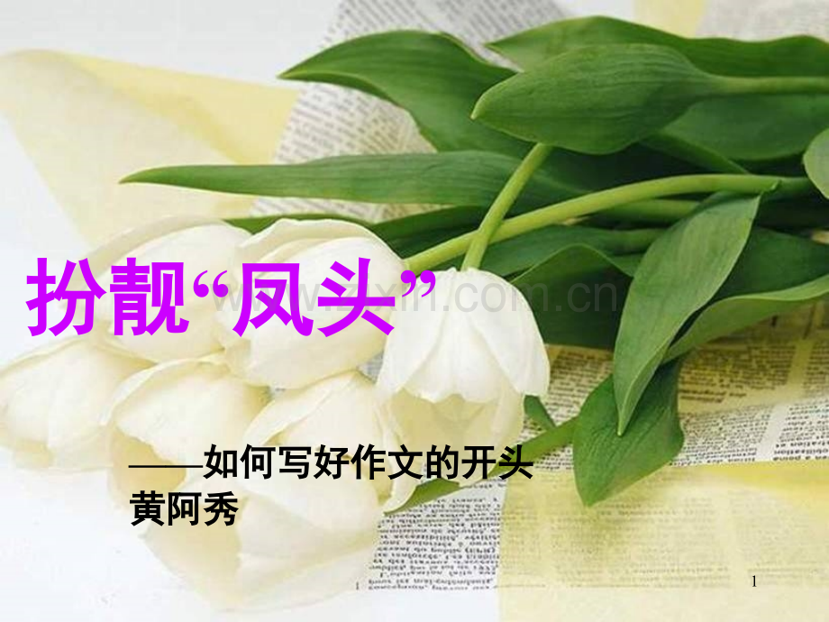 如何写好作文的开头(课堂PPT).ppt_第1页