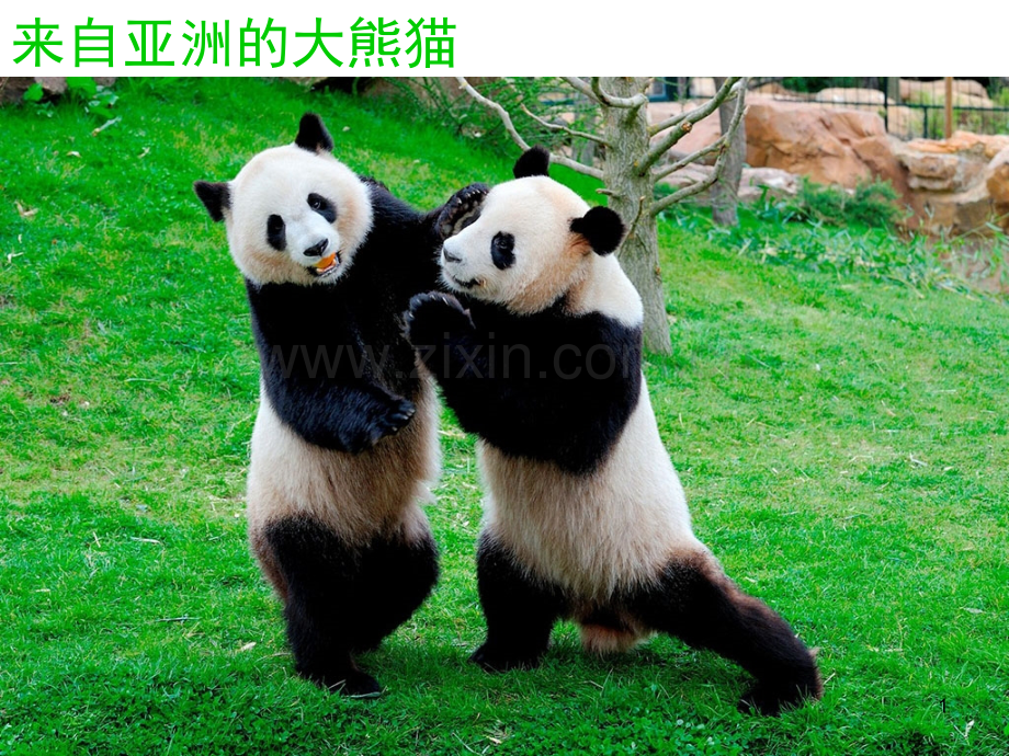 七大洲和四大洋-.ppt_第1页