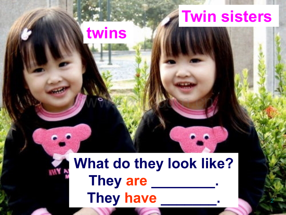 unit3I’m-more-outgoing-than-my-sister(1a-1c)公开课课件.ppt_第2页