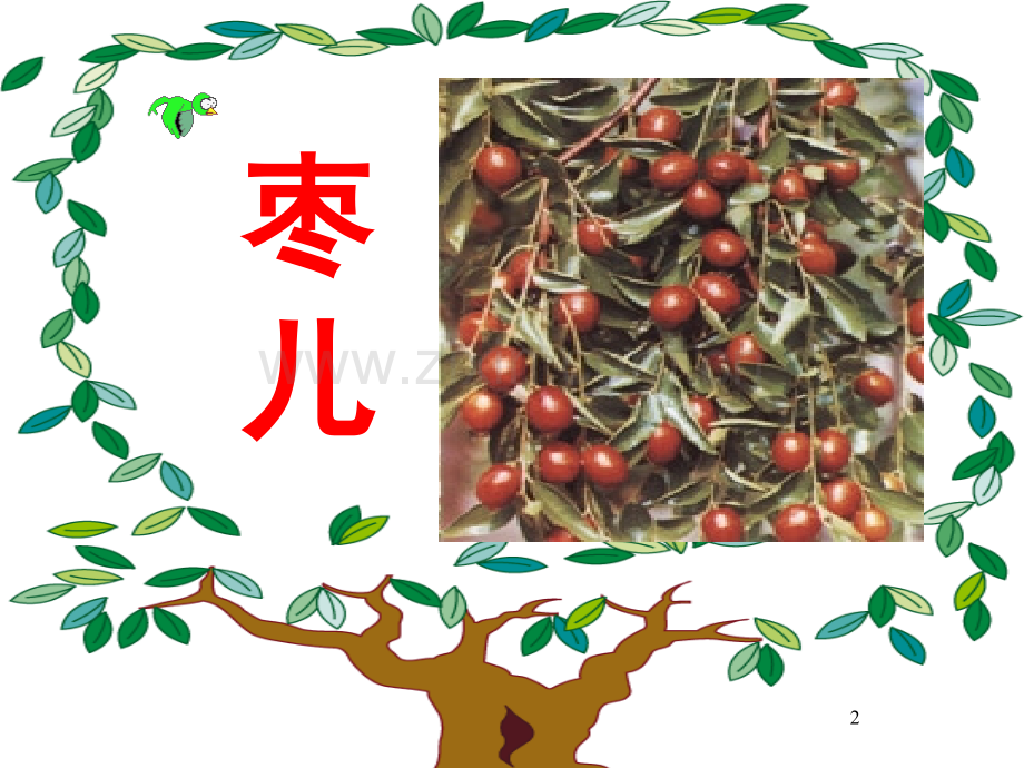 《枣儿》(课堂PPT).ppt_第2页