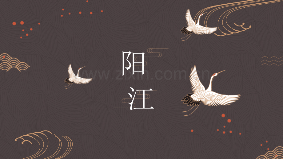 区域经济阳江.ppt_第1页