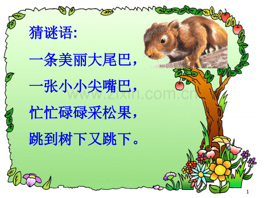《松鼠》PPT课件讲.ppt_第1页