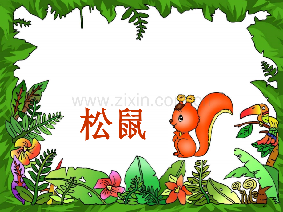 《松鼠》PPT课件讲.ppt_第2页