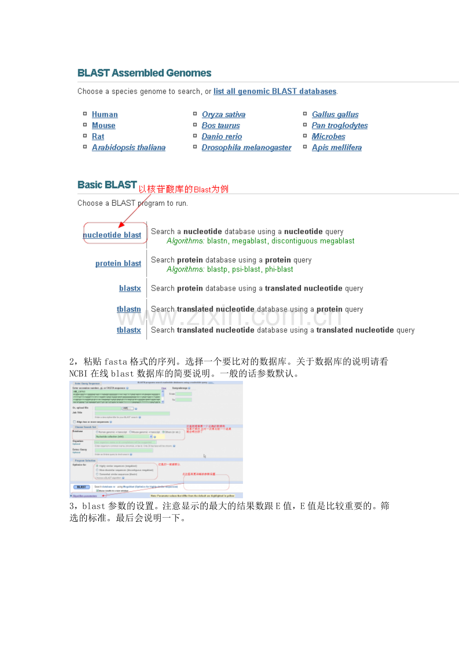 NCBI在线BLAST使用方法与结果详解.doc_第2页