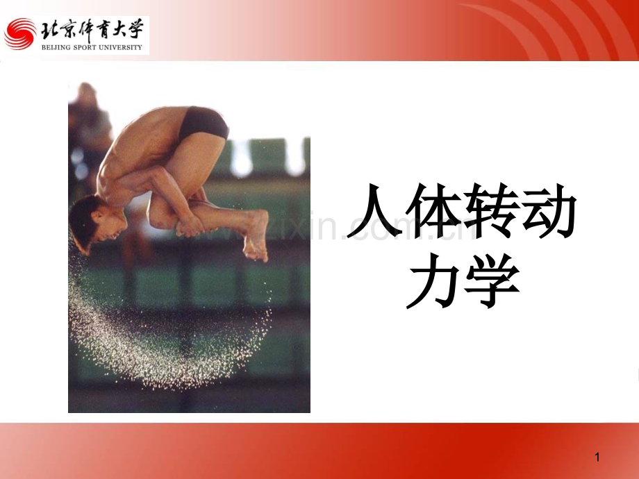人体转动力学PPT课件.ppt_第1页