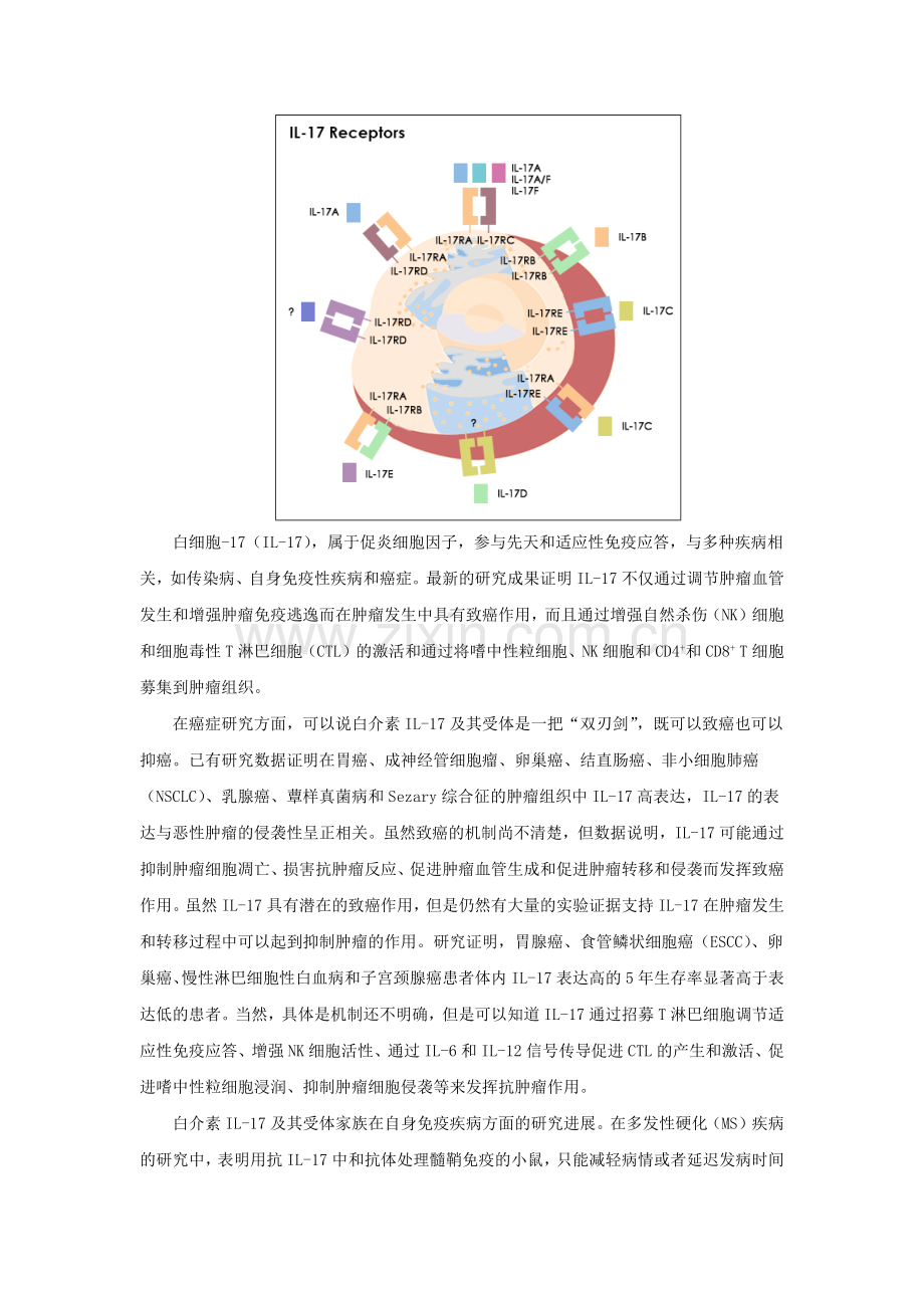 IL-17细胞因子及其受体家族研究进展.doc_第2页