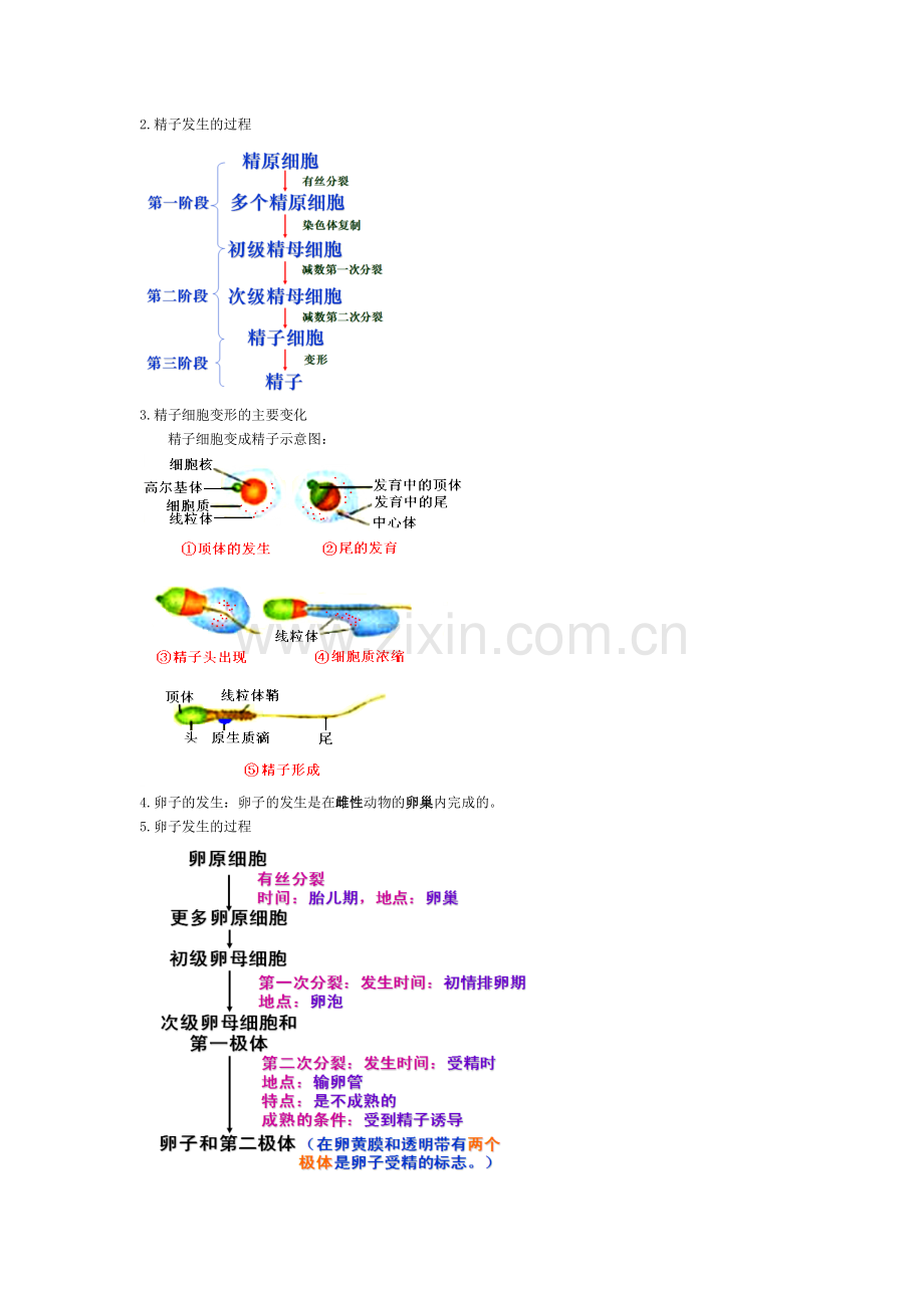 胚胎工程概念图及相应知识点.doc_第2页