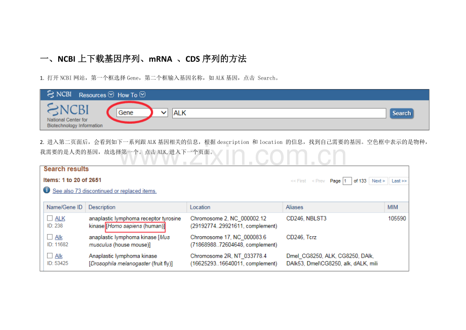 NCBI上下载基因序列.doc_第1页