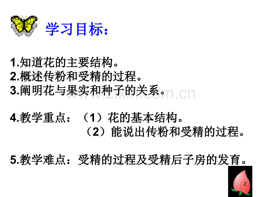《开花和结果》课件PPT.ppt_第2页
