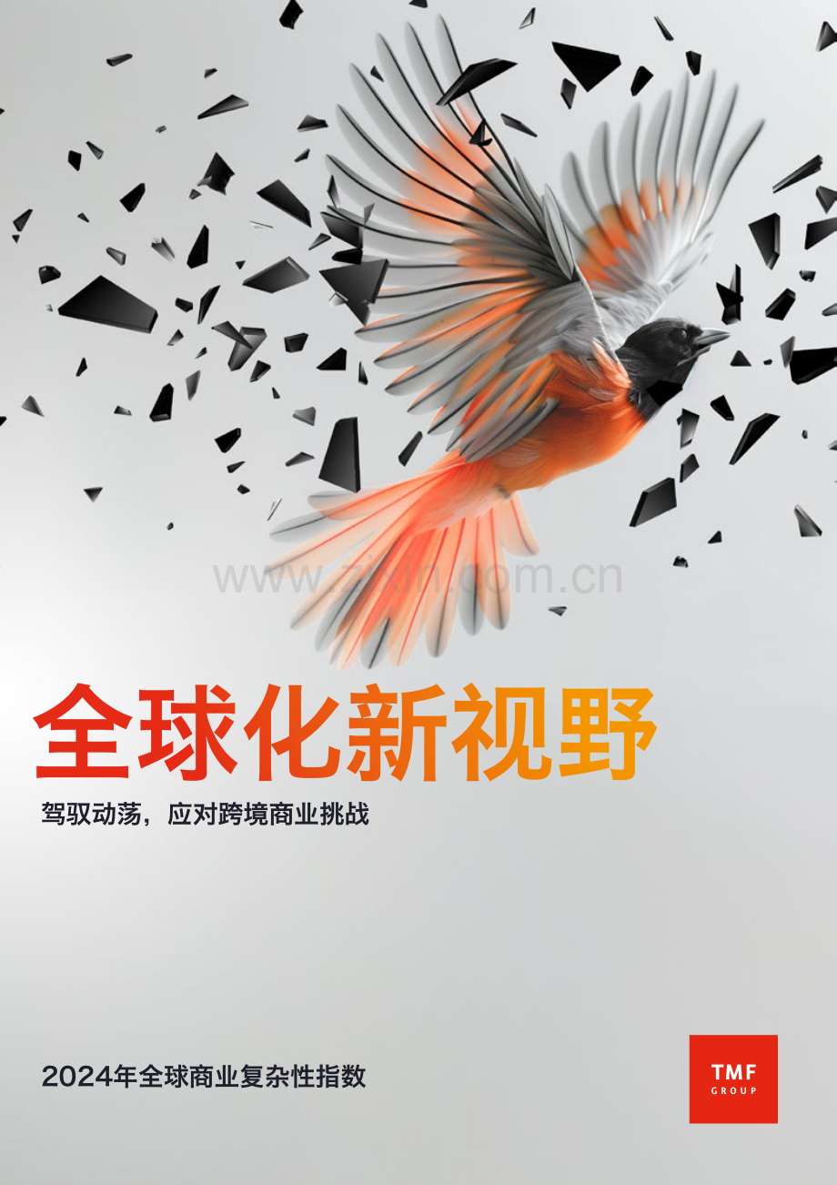 2024年全球商业复杂性指数：全球化新视野.pdf_第1页
