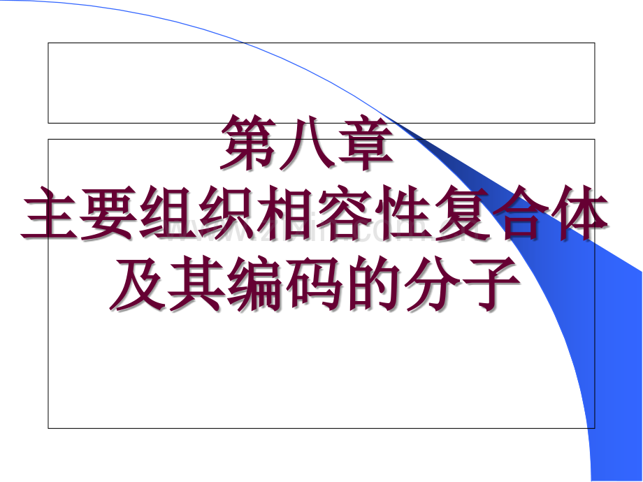 MHC及其分子解读.ppt_第1页