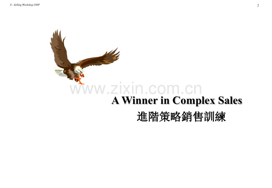 IBM销售培训资料PPT.ppt_第2页