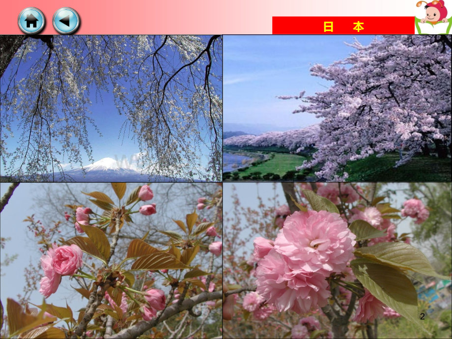 《日本》-初中地理.ppt_第2页