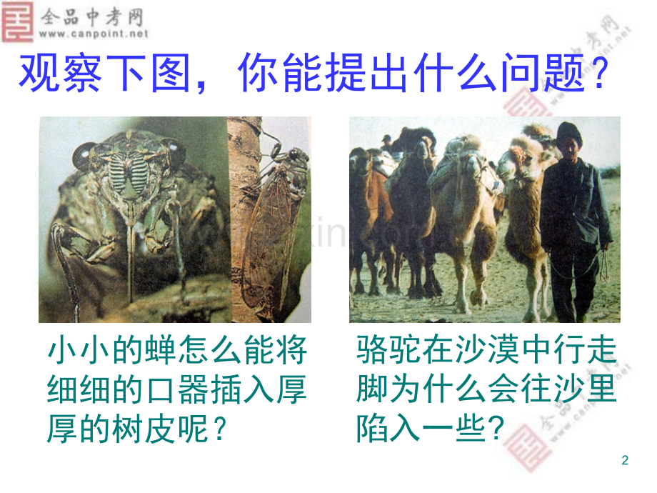 压强课件(课堂PPT).ppt_第2页